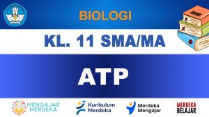 ATP Biologi Kelas 11