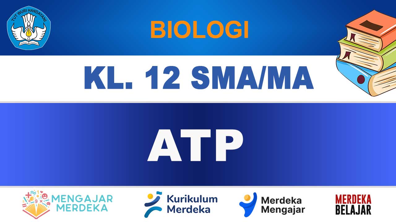 ATP Biologi Kelas 12 SMA/MA Edisi Terbaru Kurikulum Merdeka