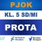 PROTA PJOK Kelas 5