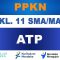 ATP PPKN Kelas 11