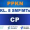 CP PPKN Kelas 8