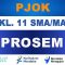 PROTA PJOK Kelas 11