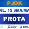 PROTA PJOK Kelas 12