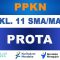 PROTA PPKN Kelas 11