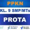 PROTA PPKN Kelas 9