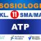 ATP Sosiologi Kelas 11