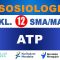 ATP Sosiologi Kelas 12