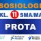 PROTA Sosiologi Kelas 11
