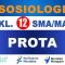 PROTA Sosiologi Kelas 12